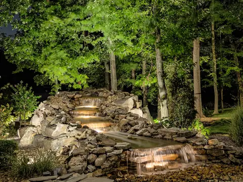 Woodland stream and stone steps at night with the surrounding trees lit through the canopy