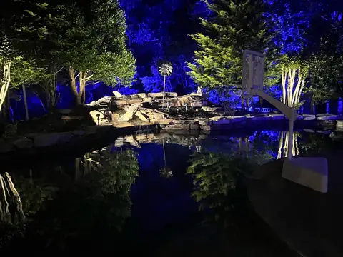 Pond and rock waterfall washed in blue light with the trees uplit in white