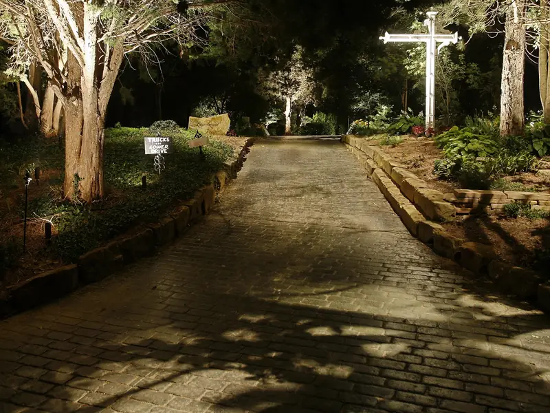 Brick drive beneath mature trees at night with dappled light falling through the branches onto the paving