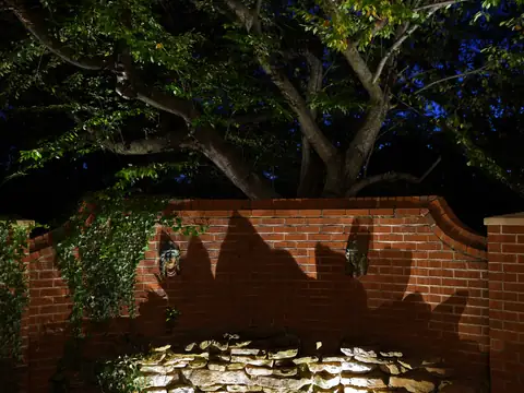 Tree limbs casting shadows across a curved brick garden wall