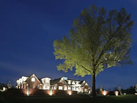 Large shade tree uplit against a blue-hour sky beside a lit house