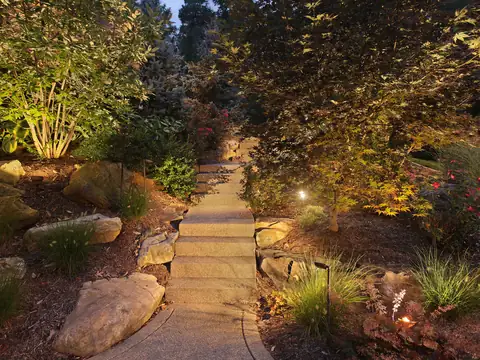 Natural stone steps with path lights between uplit trees