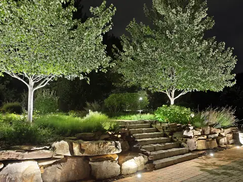 Boulder steps with step lights beneath uplit trees
