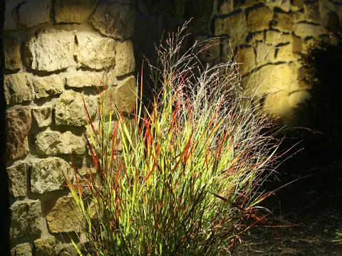 Ornamental grasses backlit against a grazed fieldstone column